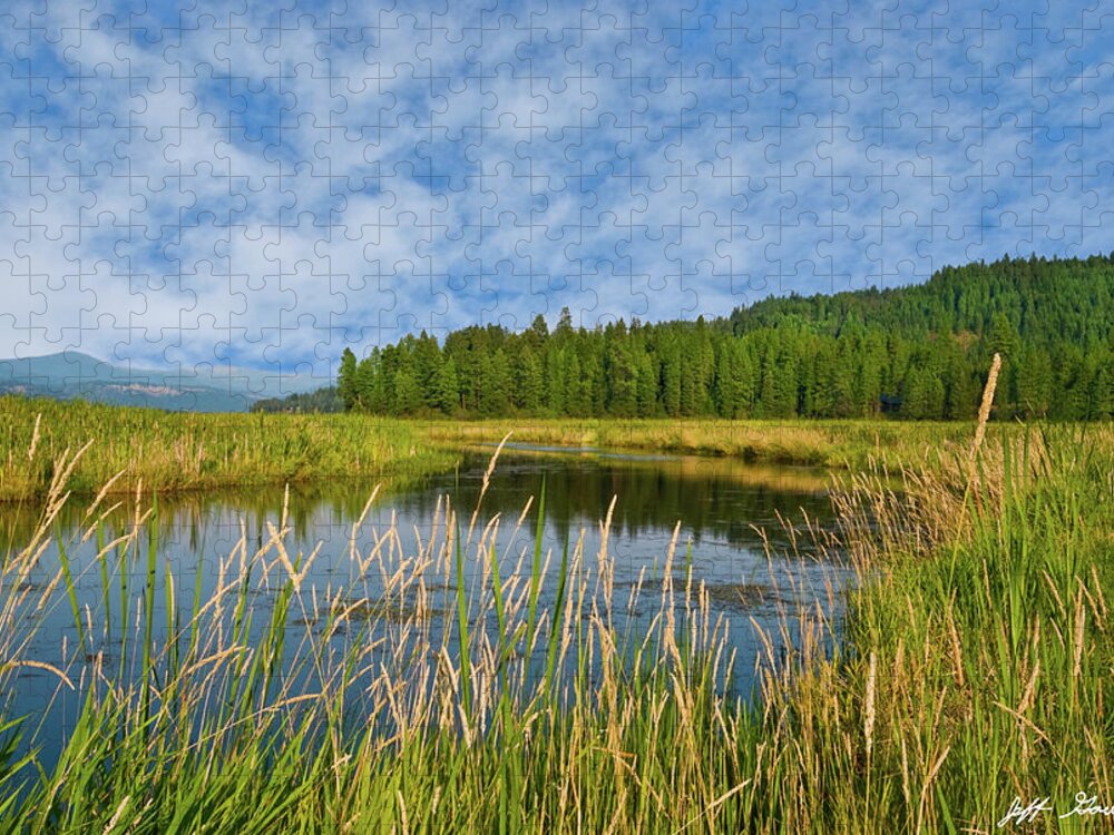 Beauty In Nature Jigsaw Puzzle featuring the photograph Plummer Creek Marsh by Jeff Goulden