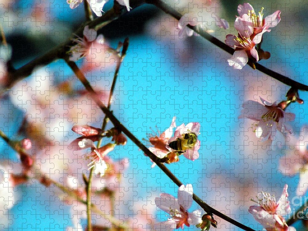 Floral Jigsaw Puzzle featuring the photograph Pollination 1.01 by Helena M Langley