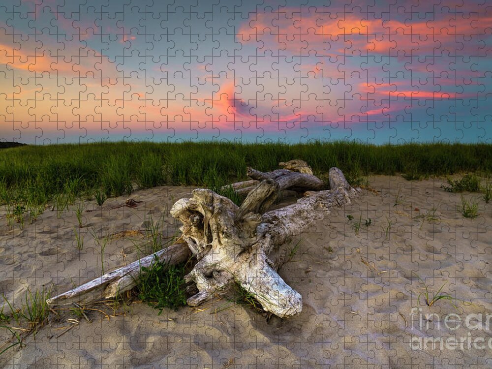 2018 Jigsaw Puzzle featuring the photograph Popham Beach Driftwood at Sunset by Craig Shaknis