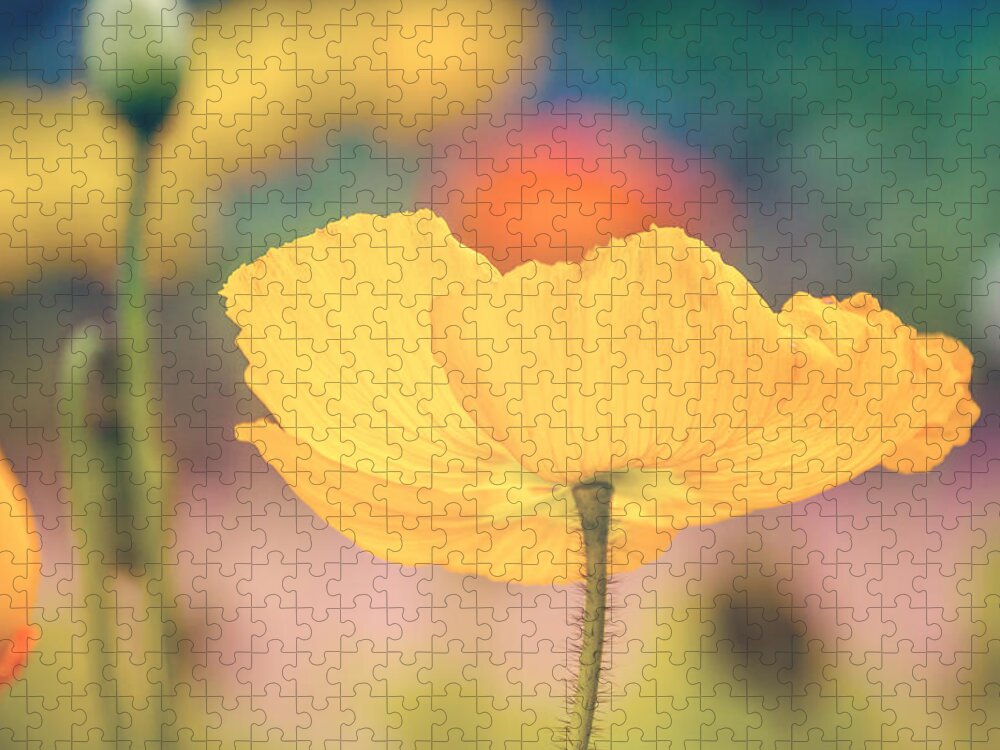 Photography Jigsaw Puzzle featuring the digital art Poppy 1 by Terry Davis