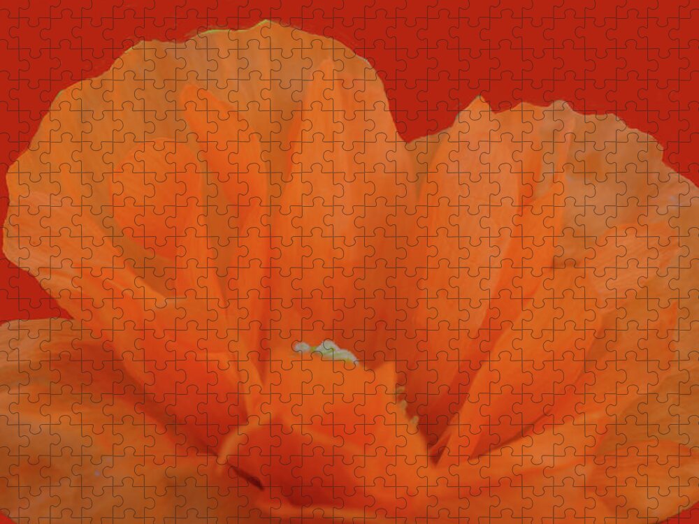 Flowers Jigsaw Puzzle featuring the photograph Poppy Art # 4 by Jimmy Chuck Smith