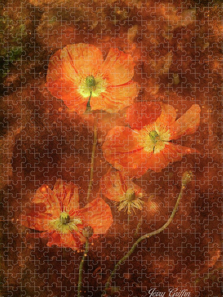 Poppies Jigsaw Puzzle featuring the photograph Poppy Dreams by Jerry Griffin