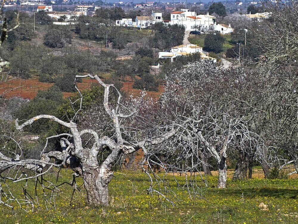 Europe Jigsaw Puzzle featuring the photograph Portuguese almond plantation by Heiko Koehrer-Wagner