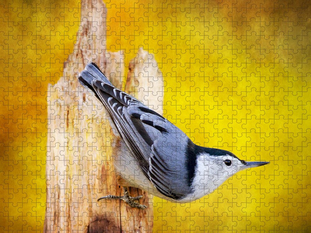 Sitta Carolinensis Jigsaw Puzzle featuring the photograph Posted Nuthatch On Point by Bill and Linda Tiepelman