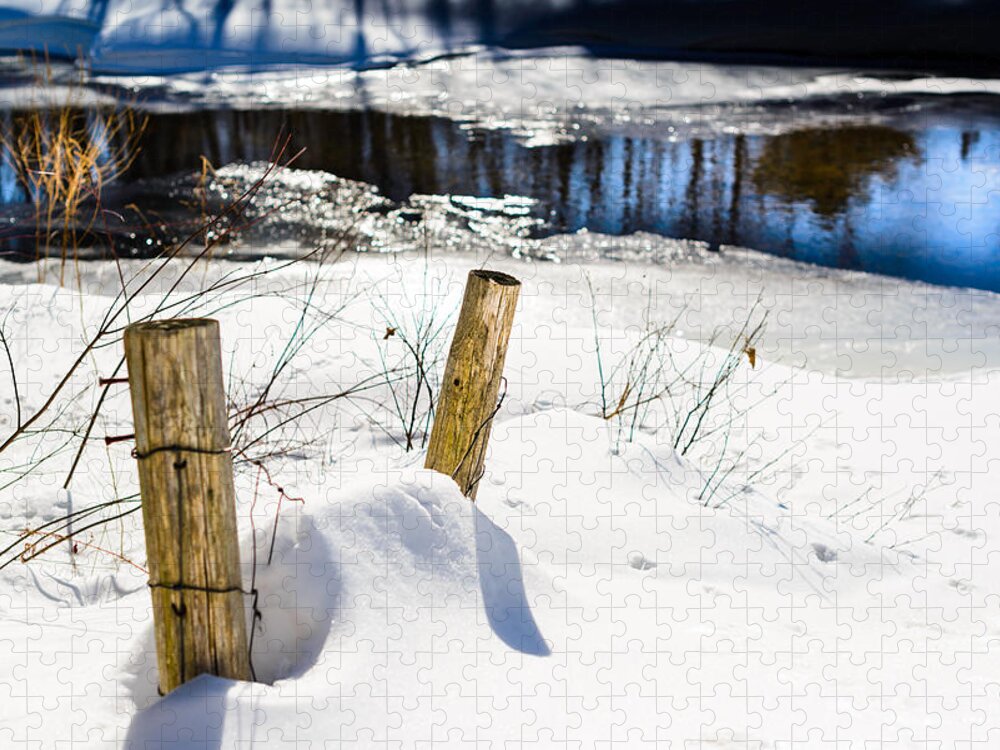 Posts Jigsaw Puzzle featuring the photograph Posts in Winter by Robert McKay Jones