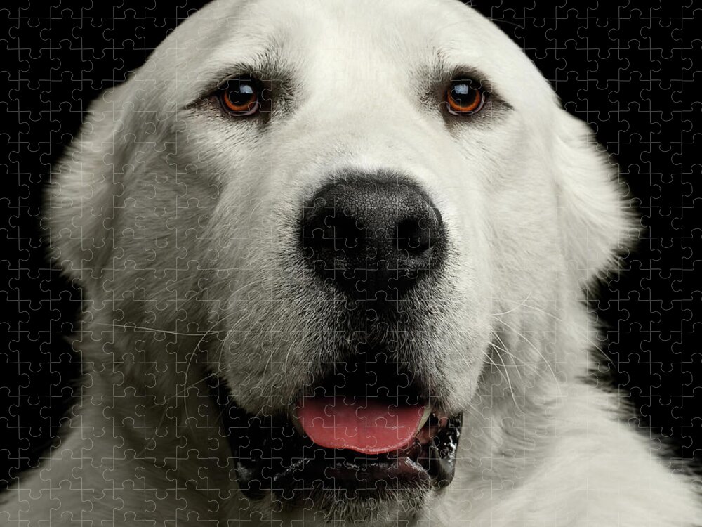 Dog Puzzle featuring the photograph Huge Guy by Sergey Taran