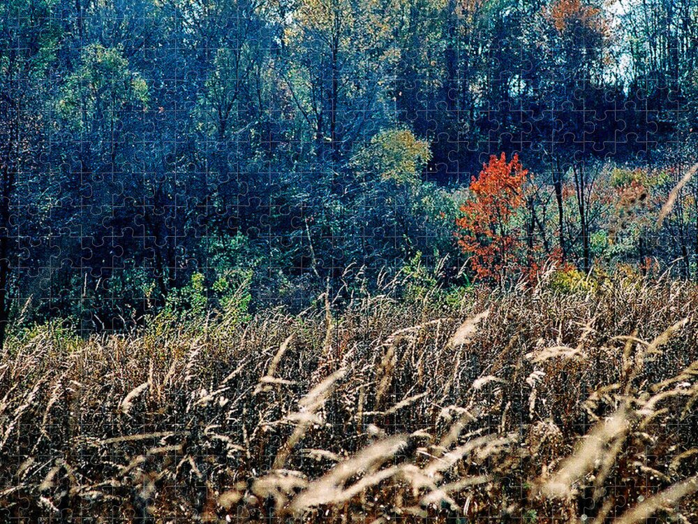 Landscape Jigsaw Puzzle featuring the photograph Prairie Edge by Steve Karol