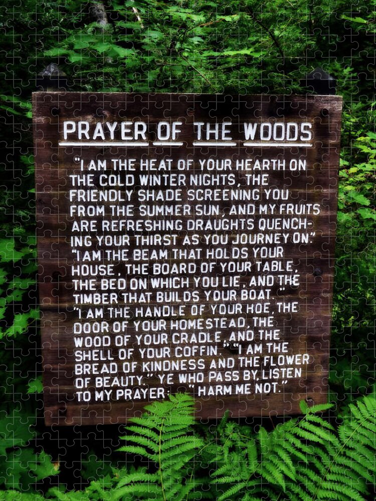 Prayer Jigsaw Puzzle featuring the photograph Prayer of the Woods by Michelle Calkins