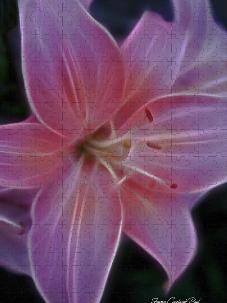 Pink Lily Photographs Jigsaw Puzzle featuring the photograph Precious Pink Lily by Joann Copeland-Paul