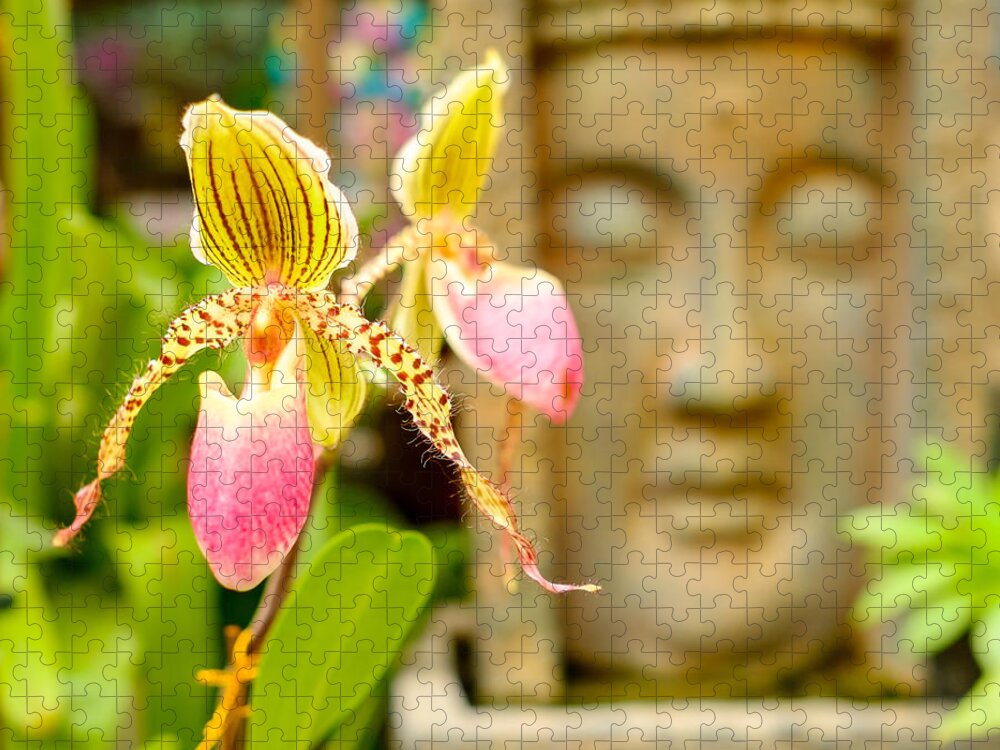 Buddhist Temple Jigsaw Puzzle featuring the photograph Pretty flower by Raul Rodriguez