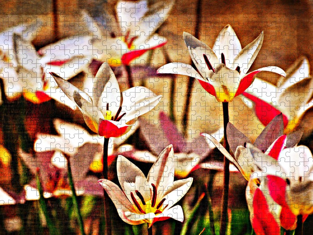 Flowers Jigsaw Puzzle featuring the photograph Pretty Flowers by Marty Koch