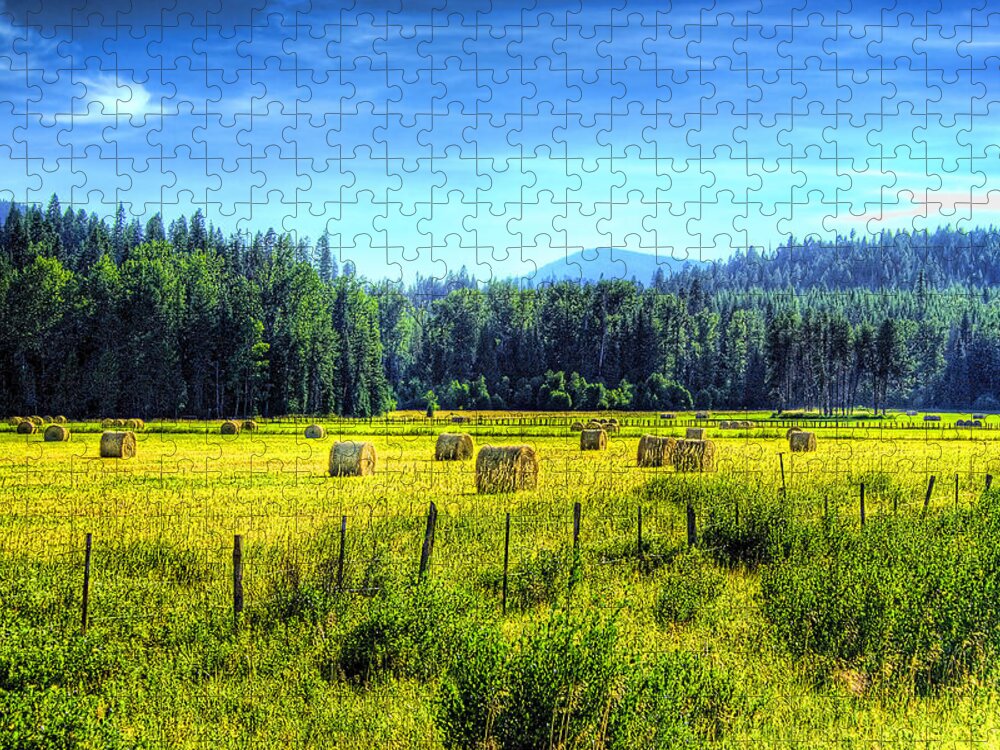 Hay Bales Jigsaw Puzzle featuring the photograph Priest Lake Hay by David Patterson