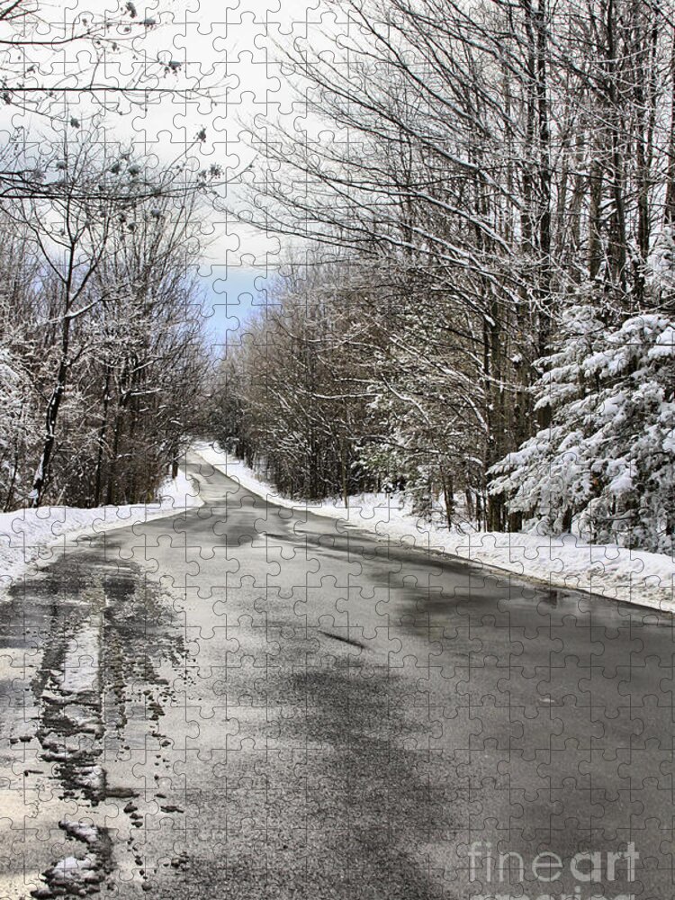 Winter Jigsaw Puzzle featuring the photograph Private Country Road by Deborah Benoit