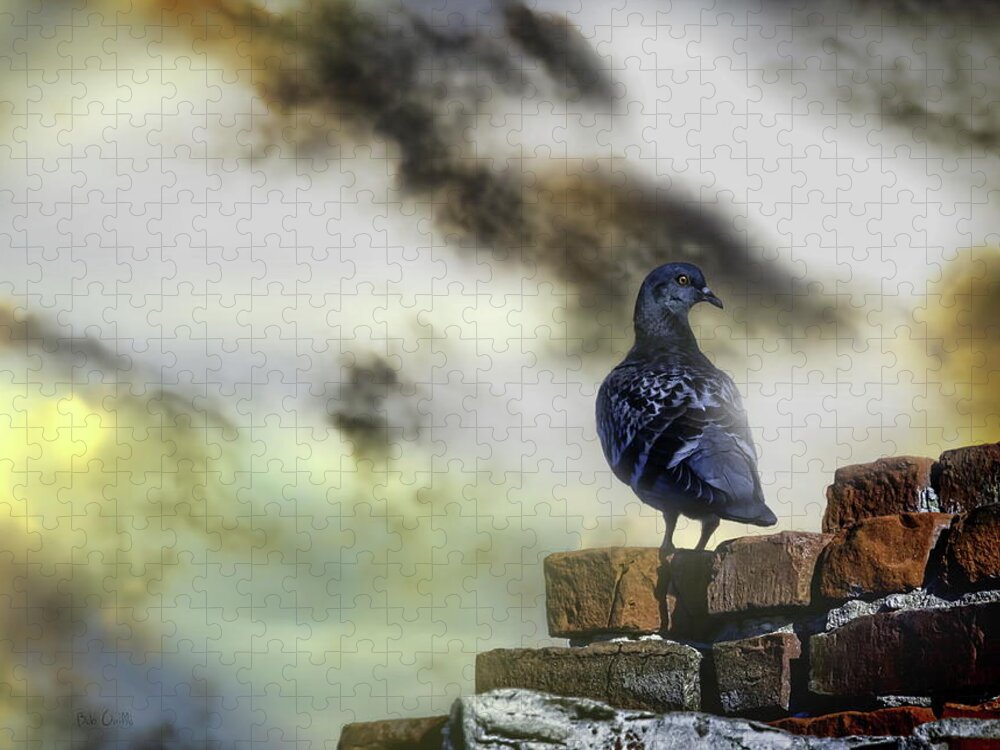 Pigeon Jigsaw Puzzle featuring the photograph Proud To Be A Pigeon by Bob Orsillo