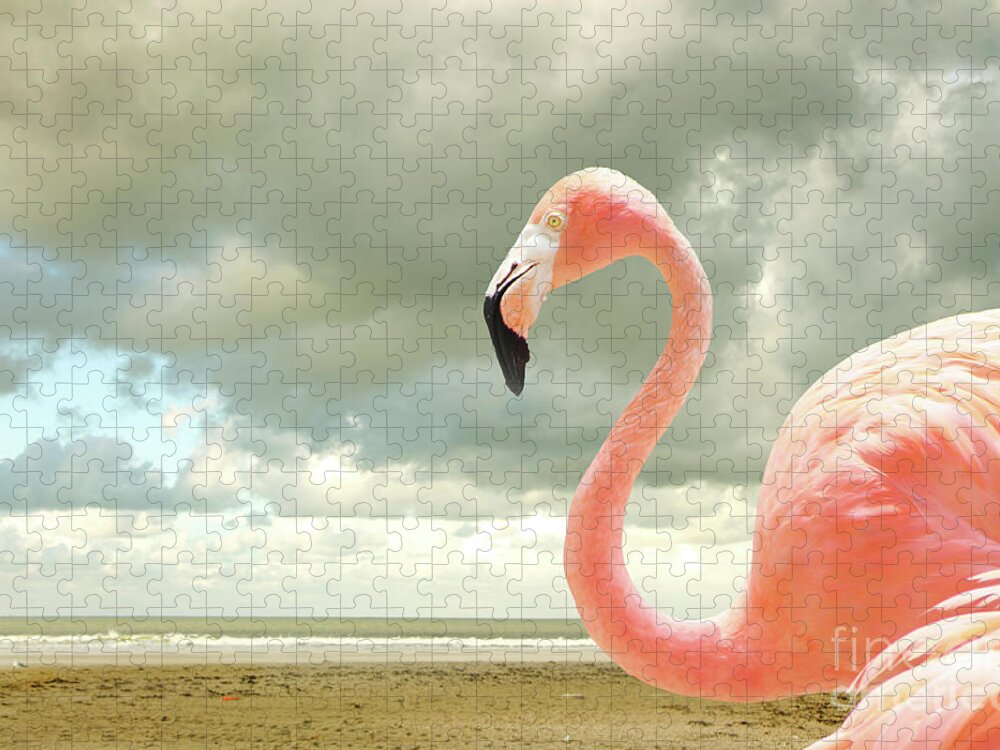 Flamingo Jigsaw Puzzle featuring the photograph Proud to be pink by Adriana Zoon