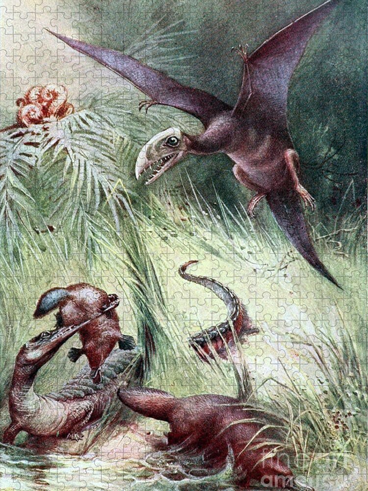 Pterodactyls Jigsaw Puzzle featuring the photograph Pterodactyl And Teleosaurus Eating by Biodiversity Heritage Library