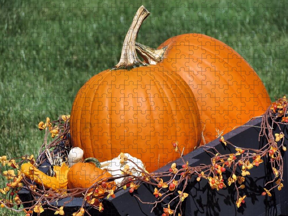 Pumpkins Jigsaw Puzzle featuring the photograph Pumpkin and Bittersweet by Janice Drew