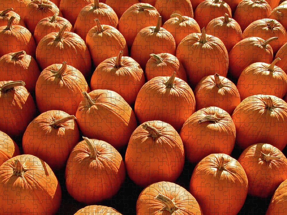 Pumpkins Jigsaw Puzzle featuring the photograph Pumpkin Pile by Todd Klassy