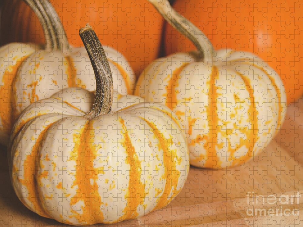 Holidays Jigsaw Puzzle featuring the photograph Pumpkins 7 by Andrea Anderegg