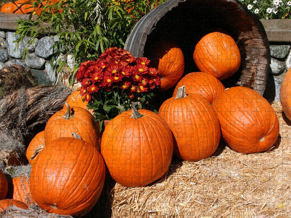 Pumpkins Jigsaw Puzzle featuring the mixed media Pumpkins- Photograph by Linda Woods by Linda Woods
