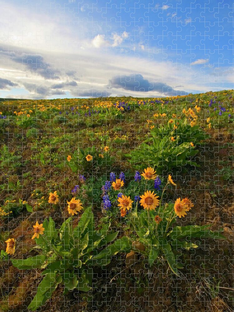 Wildflowers Jigsaw Puzzle featuring the photograph Purple and Gold by Michael Dawson