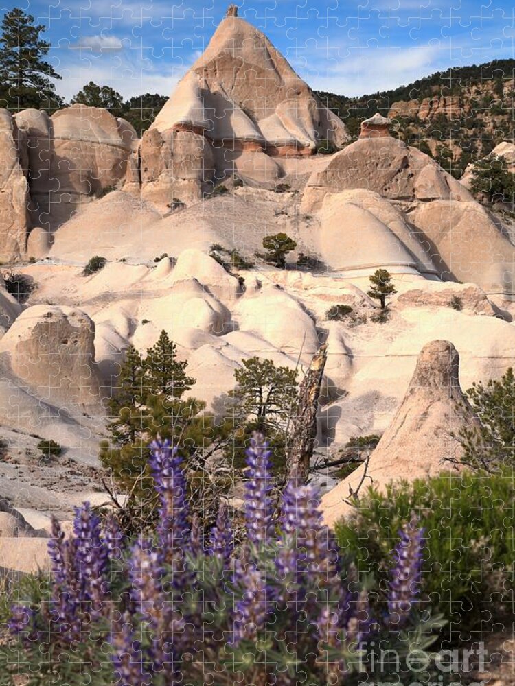 Tent Rocks Jigsaw Puzzle featuring the photograph Purple Flowers At Tent Rock Canyon by Adam Jewell