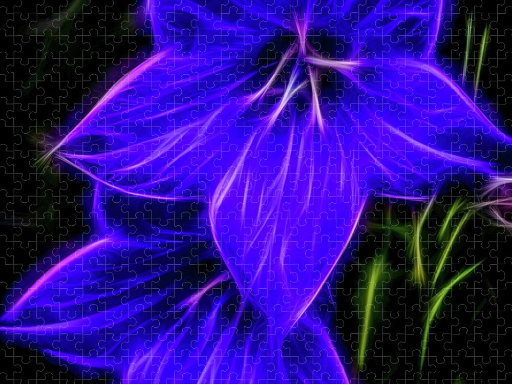 Purple Balloon Flower Jigsaw Puzzle featuring the photograph Purple Passion by Joann Copeland-Paul