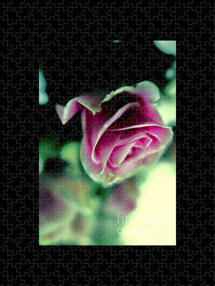 Floral Jigsaw Puzzle featuring the photograph Purple Rose by Tara Shalton