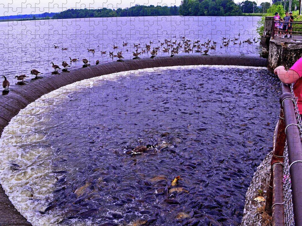 Pymatuning Spillway 002 Jigsaw Puzzle by George Bostian - Pixels