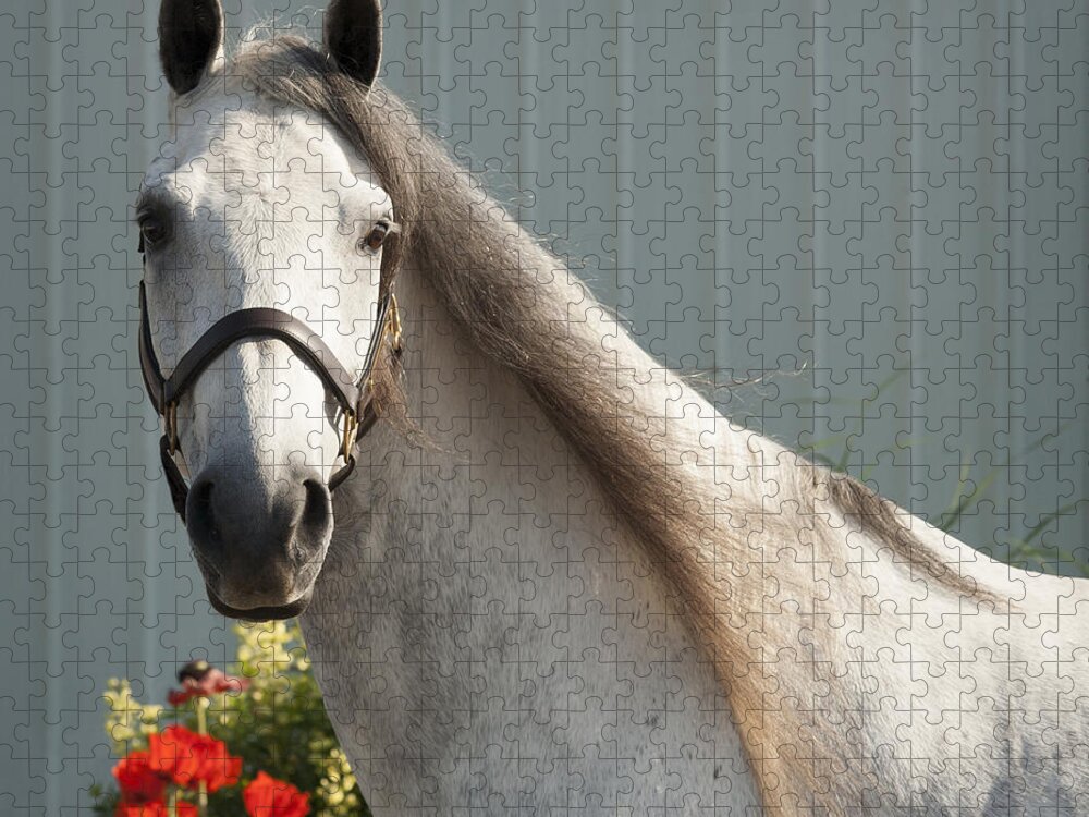 Horse Jigsaw Puzzle featuring the photograph Que Pasa? by Carol Lynn Coronios