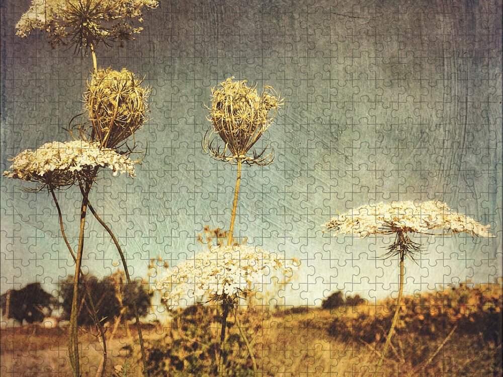 Photography Jigsaw Puzzle featuring the photograph Queen Anne's Lace Vintage by Melissa D Johnston
