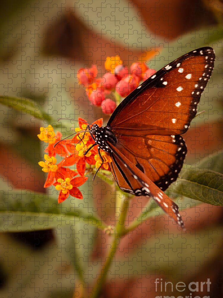 Butterfly Jigsaw Puzzle featuring the photograph Queen Butterfly on Flowers by Ana V Ramirez