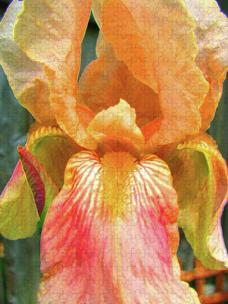 Iris Jigsaw Puzzle featuring the photograph Queen for a Day Iris - Beauty in the Garden - Spring Flowers - Irises by Brooks Garten Hauschild