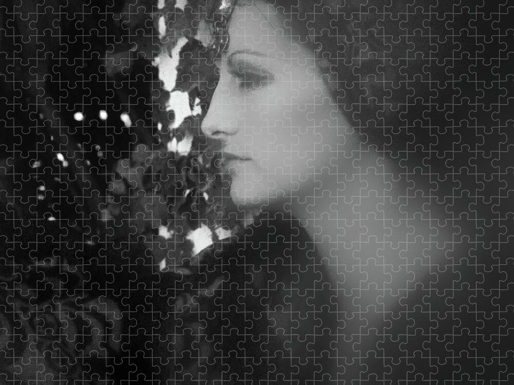 Black And White Jigsaw Puzzle featuring the photograph Queen Zenobia by Marc Nader