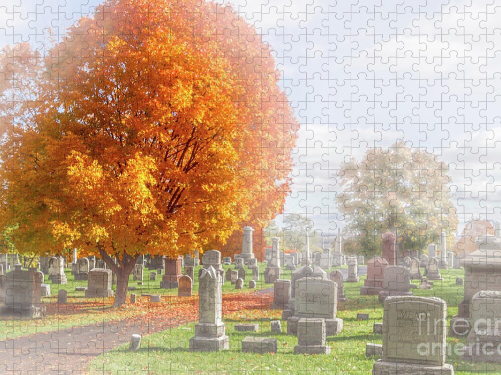Fall Jigsaw Puzzle featuring the photograph Quiet Neighbors by William Norton