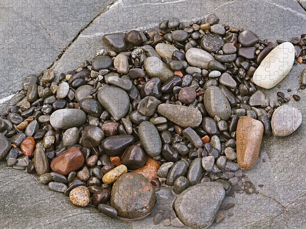 Rock Jigsaw Puzzle featuring the photograph Quoddy Head Pebble Pocket by Peter J Sucy