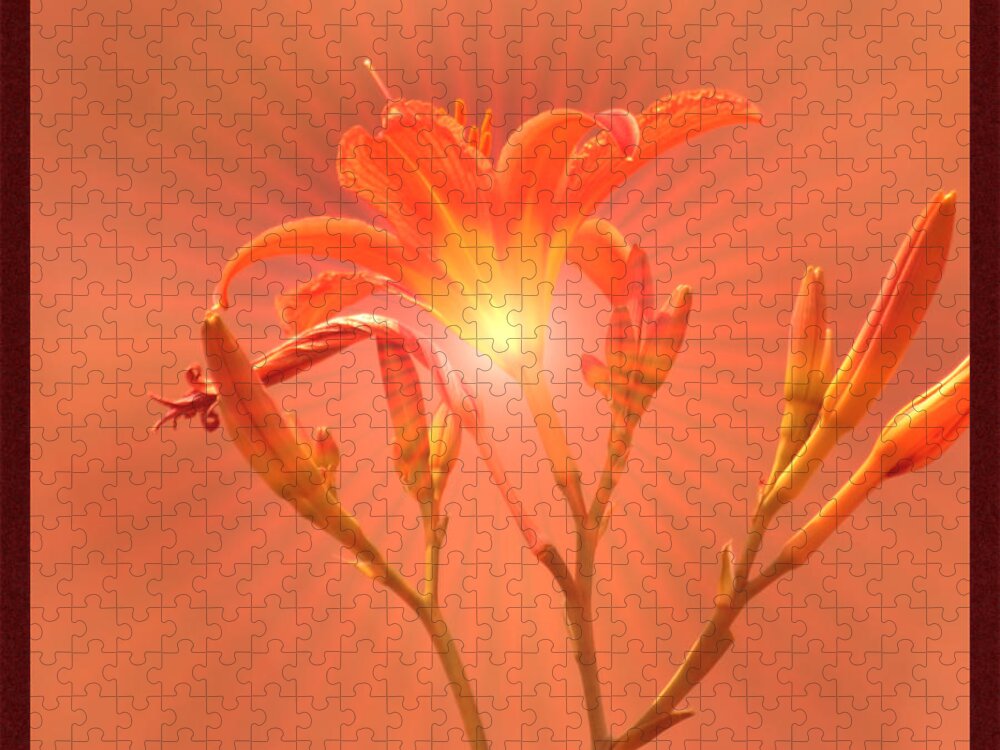 Day Lily Jigsaw Puzzle featuring the mixed media Radiant Square Day Lily by Kae Cheatham