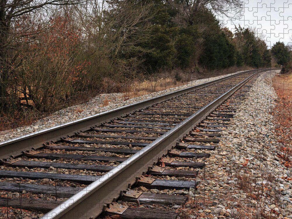 Rail Jigsaw Puzzle featuring the photograph Railway to Eternity by Travis Rogers