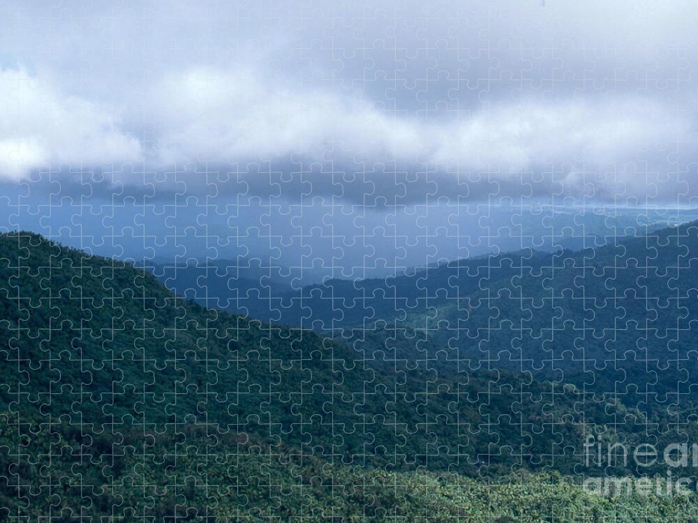 El Yunque Jigsaw Puzzle featuring the photograph Rain In El Yunque by John Kaprielian