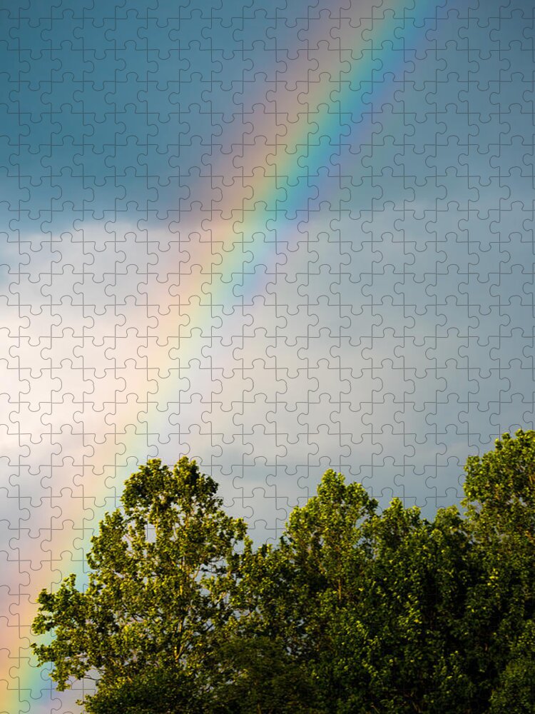 Rainbow Jigsaw Puzzle featuring the photograph Rainbow by Holden The Moment