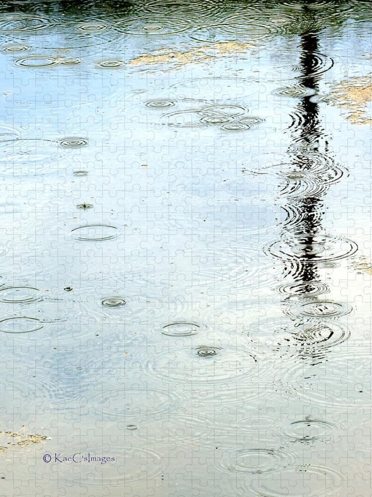 Water Jigsaw Puzzle featuring the photograph Raindrop Abstract by Kae Cheatham