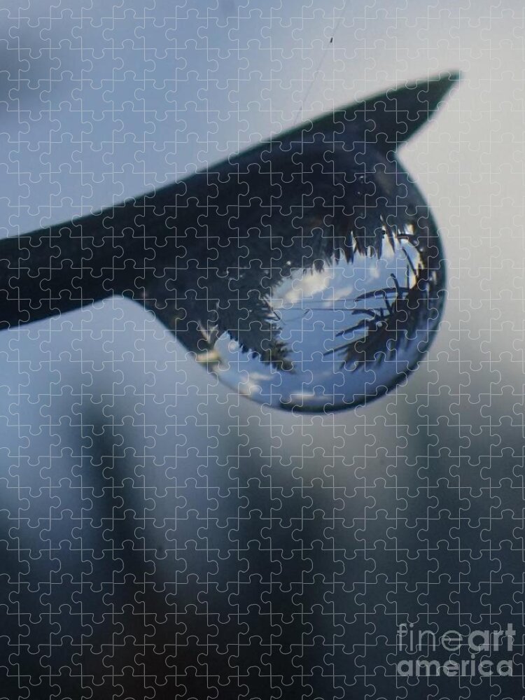 Nature Jigsaw Puzzle featuring the photograph Raindrop World by Christina Verdgeline