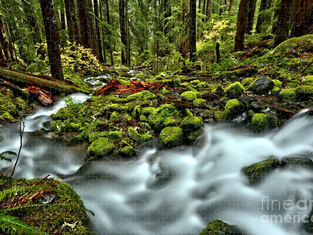 Sol Duc Jigsaw Puzzle featuring the photograph Rainforest Waves by Adam Jewell