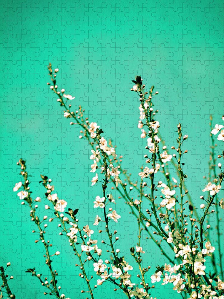 Flowers Jigsaw Puzzle featuring the photograph Reach - Botanical Wall Art by Melanie Alexandra Price