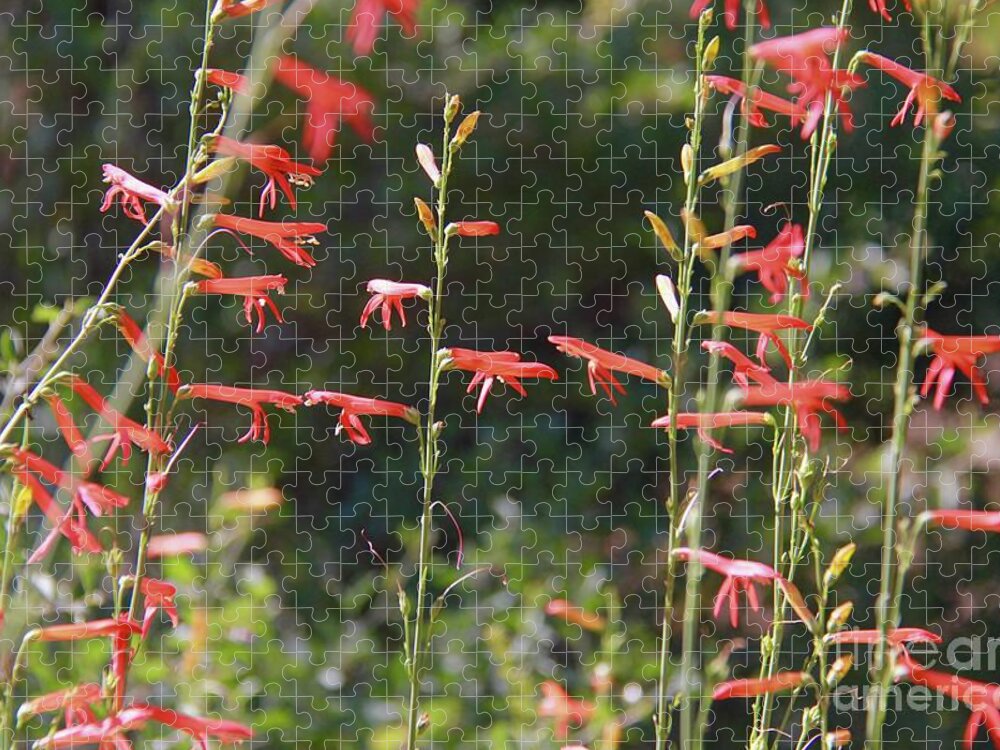 Red Jigsaw Puzzle featuring the photograph Reaching Tranquility by Suzanne Oesterling
