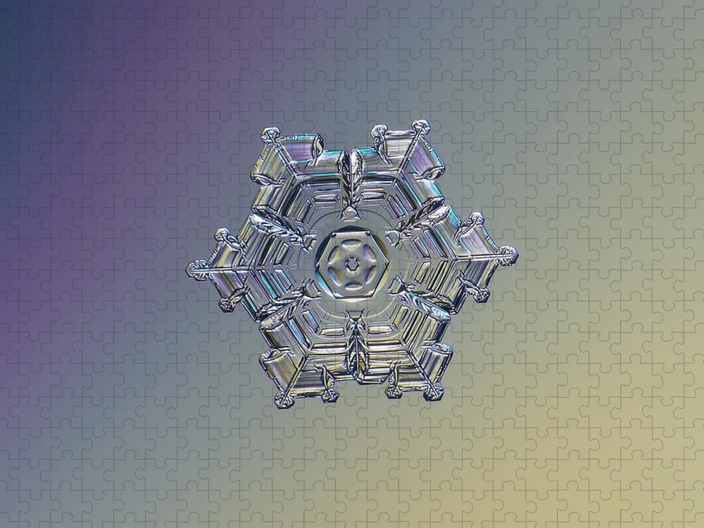 Snowflake Jigsaw Puzzle featuring the photograph Real snowflake - 05-Feb-2018 - 7 alt by Alexey Kljatov