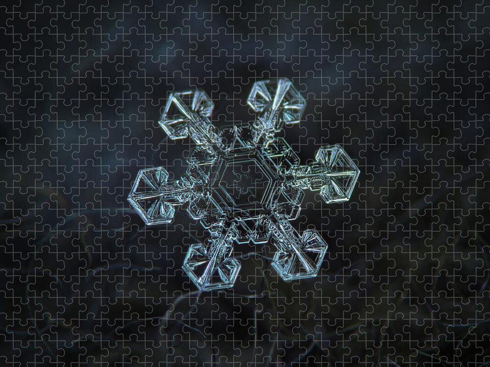 Snowflake Jigsaw Puzzle featuring the photograph Real snowflake - Ice crown new by Alexey Kljatov