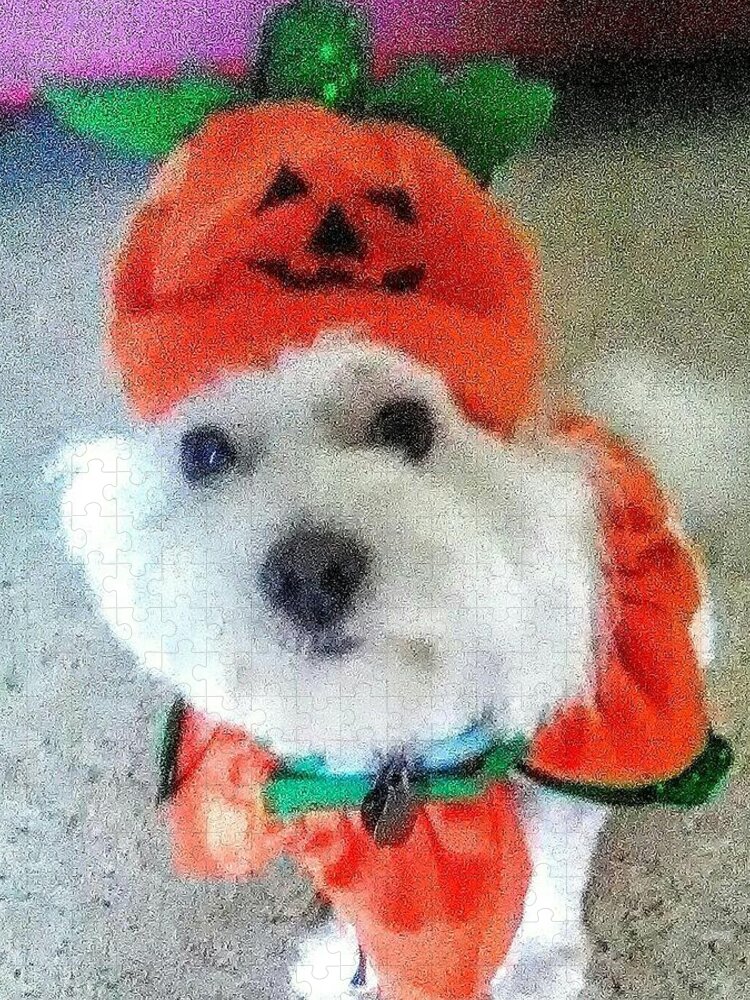 Coton De Tulear Jigsaw Puzzle featuring the photograph Really Halloween by Suzanne Berthier