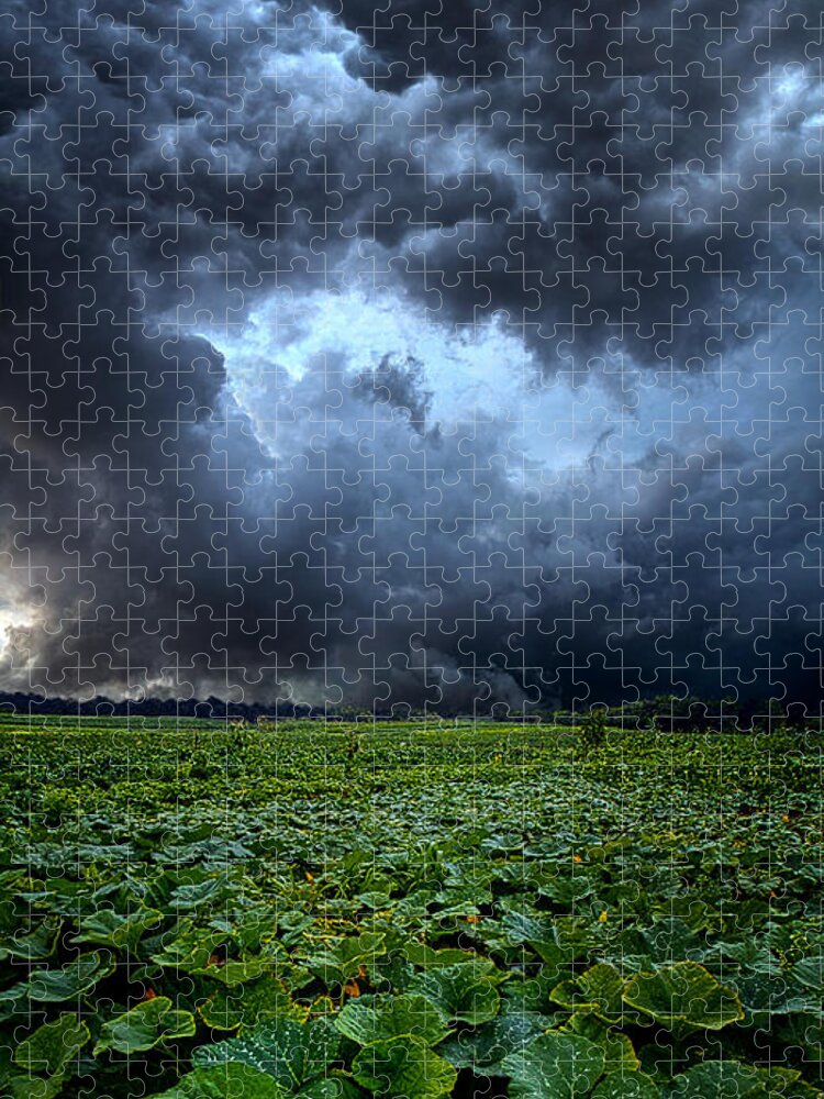 Storms Jigsaw Puzzle featuring the photograph Reclusive by Phil Koch