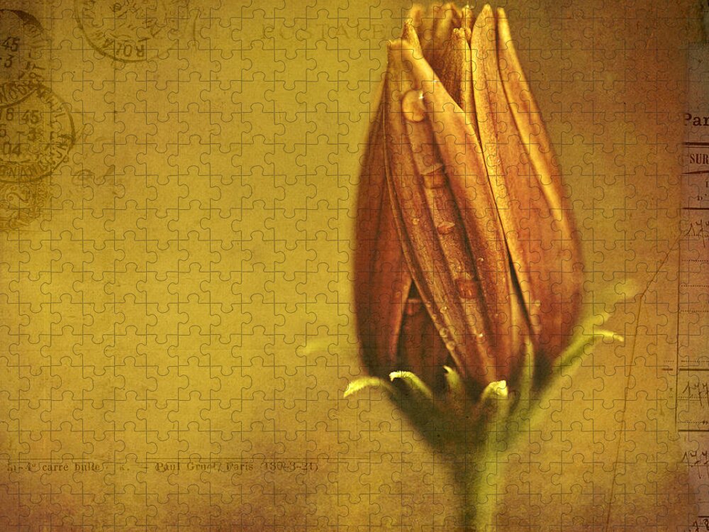 Floral Art Jigsaw Puzzle featuring the photograph Recollection by Bonnie Bruno